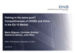 SIE20121213